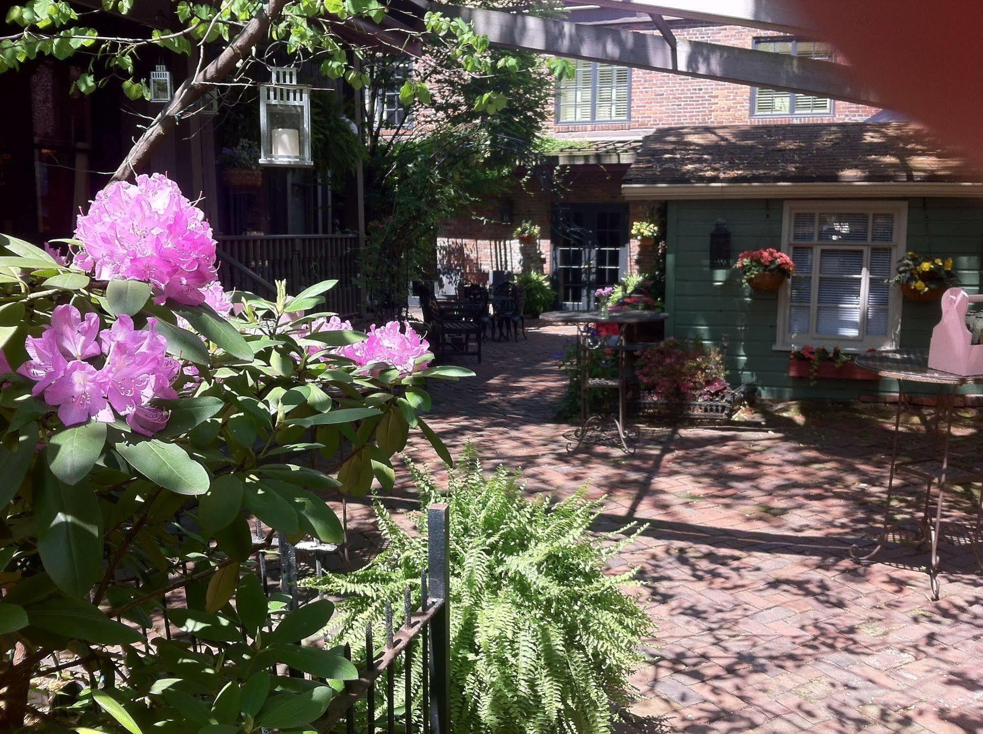 Inn Morning Glory 3*